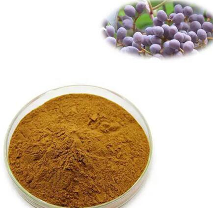 20230327162540ffdf41d5b904403eb625be23c6dc220b 20230327162540ffdf41d5b904403eb625be23c6dc220b