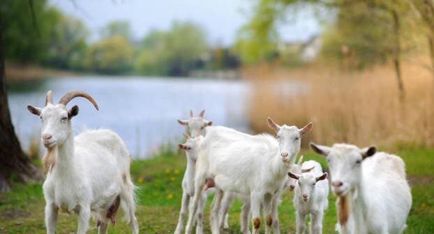 20230327164731760164855f9f469cb30a1b38eb4c9c67 20230327164731760164855f9f469cb30a1b38eb4c9c67