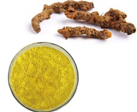 20230412151134d7295b3800554b04a4a9af786965df6c