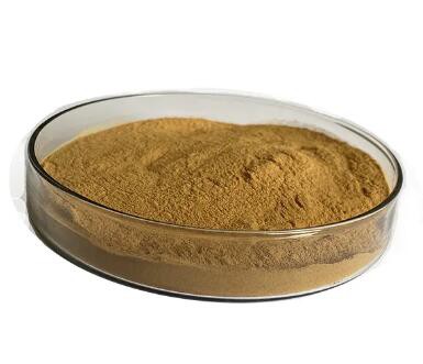 20230509150009432c72e21b8b4889aa4ddbbc20c970d2