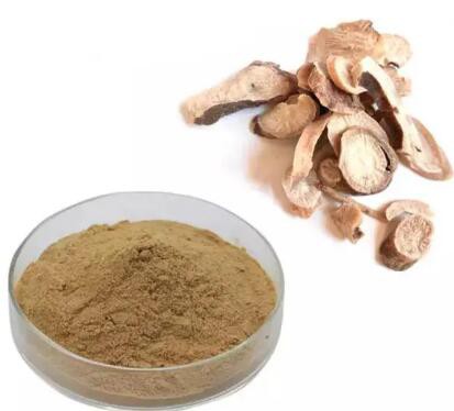 20230511152343de82e77824cb4aa38dc8747ba6efaa34 20230511152343de82e77824cb4aa38dc8747ba6efaa34