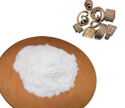 202305181509303ea757327484430bba00fde07843a307 202305181509303ea757327484430bba00fde07843a307