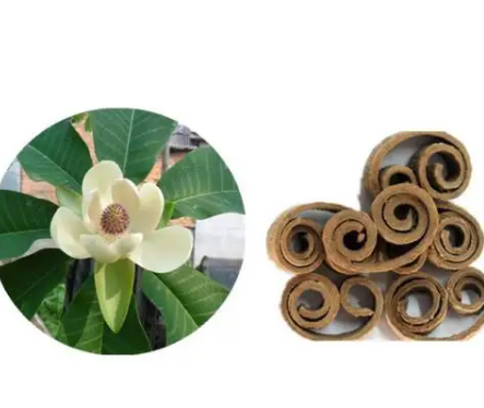 20230518150958c82fd852f599443c8c1c2ea9aced7263 20230518150958c82fd852f599443c8c1c2ea9aced7263