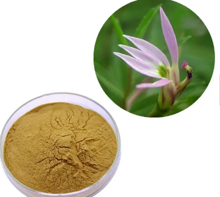 202306121449591e33e1a6b9354466b2671f559ba7b475 202306121449591e33e1a6b9354466b2671f559ba7b475