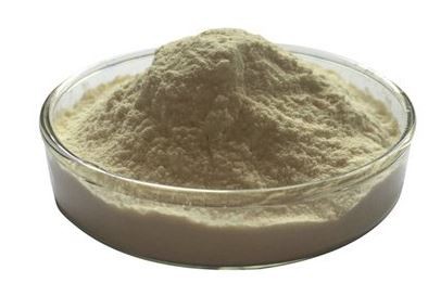 maltase-enzyme43272030133 Maltase Enzyme43272030133