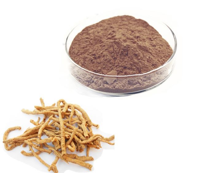 polygala-extract13464476726 Polygala Extract13464476726