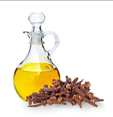 clove-oil-wholesale17527792218 Clove Oil Wholesale17527792218