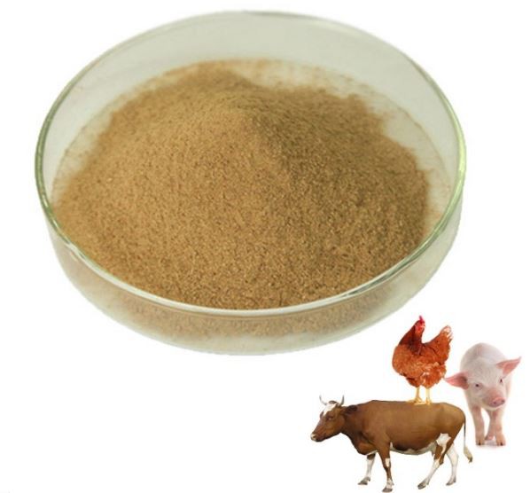 bacillus-subtilis-powder34594129179 Bacillus Subtilis Powder34594129179