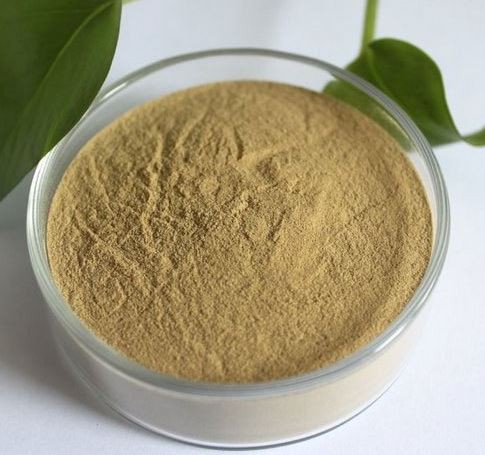 powdered-enzyme-amylase10379087958 Powdered Enzyme Amylase10379087958