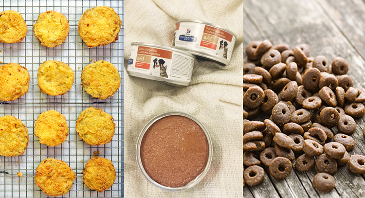 Verwendung von Kürbispulver