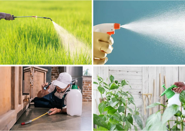 Anwendungen von Pyrethrin-Blütenpulver