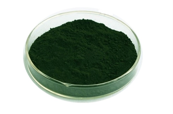 Chlorella-Pulver