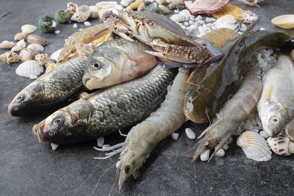 Chlorella-Pulver Verwendung