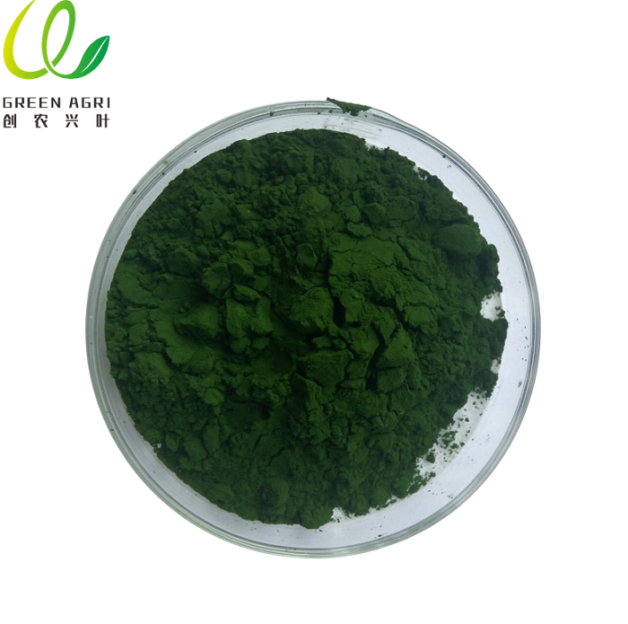Bio Chlorella Pulver