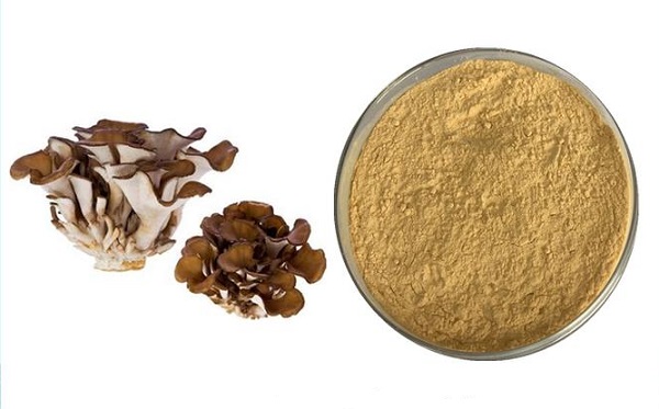 Maitake-Pilzpulver (Großpackung)