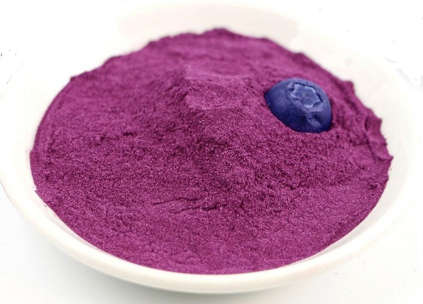 Hersteller von Blaubeersaftpulver