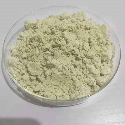 Kürbiskernpulver (Großpackung)