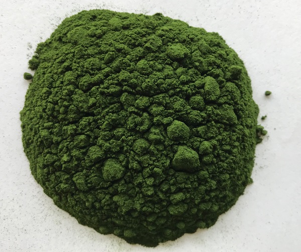 Chlorella-Pulver-Hersteller