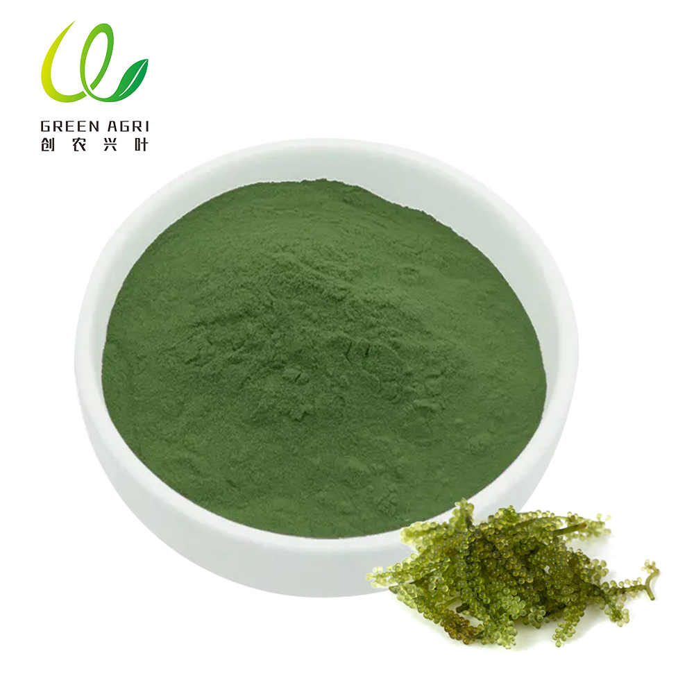 Chlorella-Pulver-Hersteller