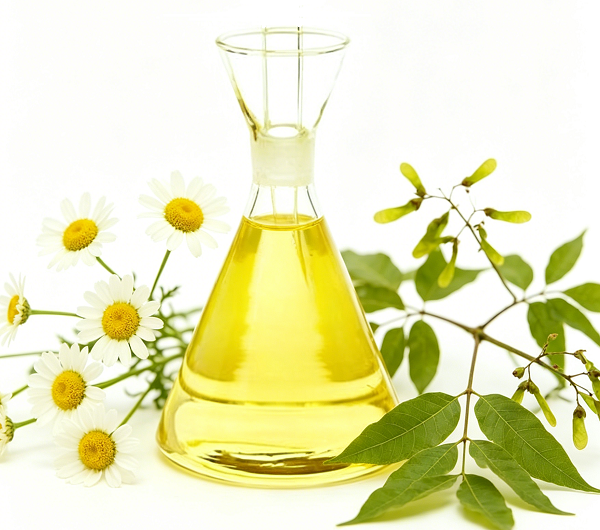 Pyrethrine oder Neemöl: Die beste natürliche Lösung zur Schädlingsbekämpfung?