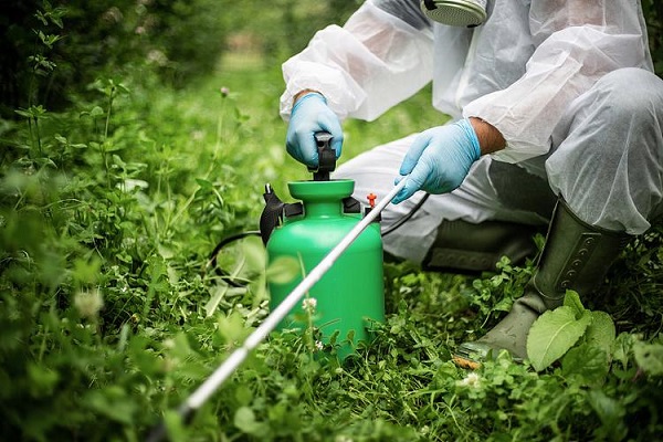Großhandel mit technischem Material zu Toosendanin für Hersteller pflanzlicher Pestizide